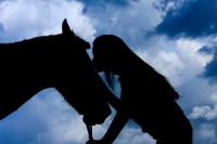 /album/portifolio/img-3099-3-jpg/